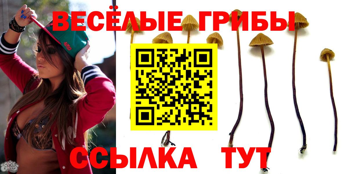 Галлюциногенные грибы мухоморы  Псилоцибиновые грибы мухоморы  Вход с VPN  Муром 